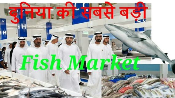 New Fish market Dubai| The Waterfront market|biggest fish market in world